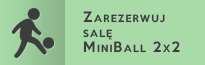 Zarezerwuj salę MiniBall 2x2